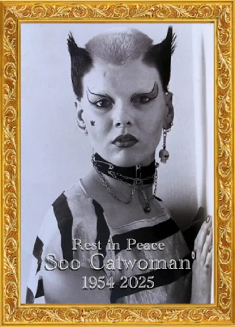 Soo Catwoman Obituary, Soo Catwoman Cause of Death: Susan Lucas aka Soo Catwoman Passed Away
